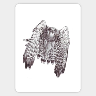 Kestrel Sticker